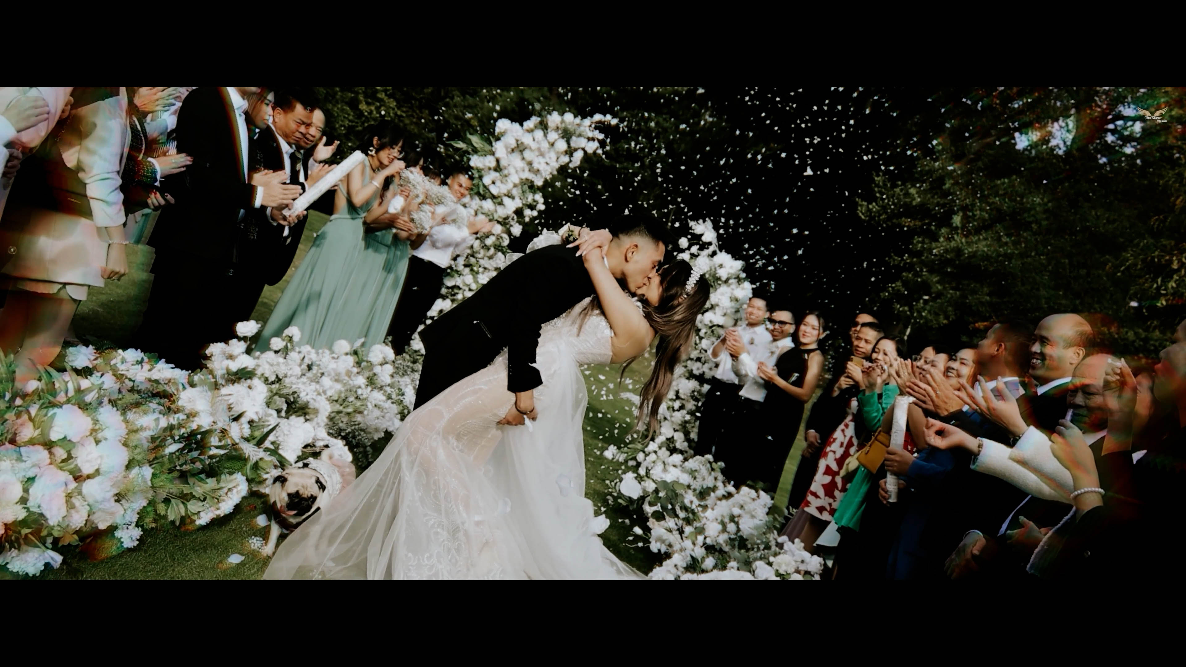 Highlight wedding T & Q